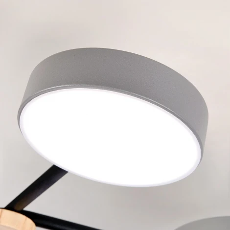 Потолочная люстра светодиодная с пультом с регулировкой цветовой температуры и яркости LED4U LED4U L3201-780 GR