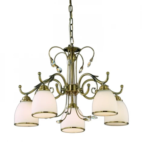Подвесная люстра Odeon Light Mida 2242/5