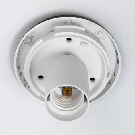 Настенно-потолочный светильник Citilux Ron CL941D25B5