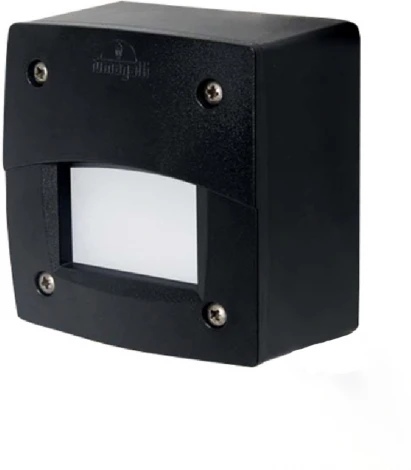 Встраиваемый светильник уличный Fumagalli Leti 3S3.000.000.AYG1L (220V, IP66)