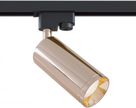 Трековый светильник Maytoni Track lamps TR004-1-GU10-RG