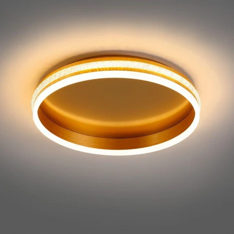 Потолочный светильник круглый Feron Shinning ring 41694 (LED, 220V, круглые)