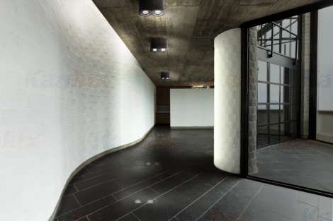 Точечный светильник Kanlux BORD 22555