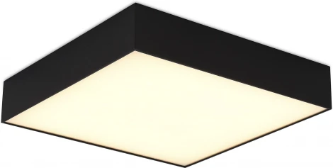 Потолочный светильник светодиодный ST Luce Черный ST608.442.96 LED 1*96W (220V)