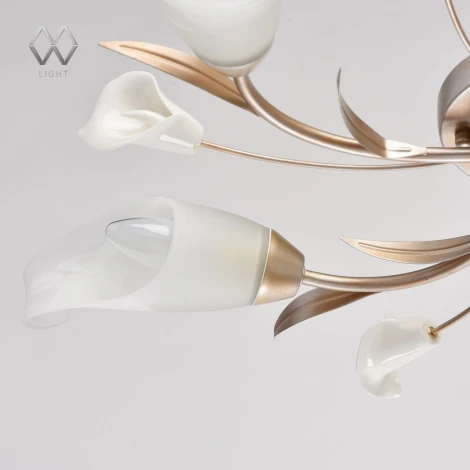 Потолочная люстра MW-Light Восторг 242016205