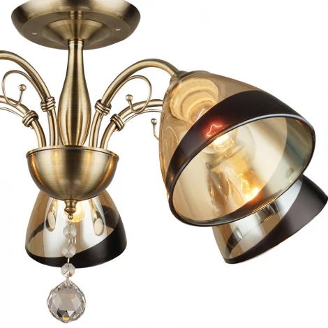 Потолочная люстра Wedo Light Rossano 66415.01.05.05