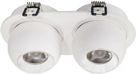 Точечный светильник светодиодный встраиваемый Wertmark Dorsum WTD.O36.007.30.14 (220V, шар)