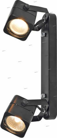 Спот Arte Lamp Lente A1314PL-2BK