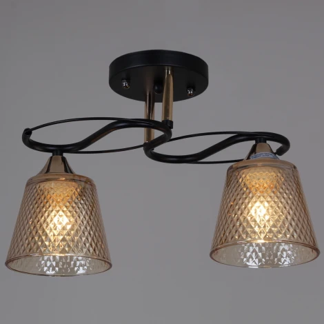 Потолочная люстра на штанге Reluce 06087-0.3-02 BK+FG (220V)