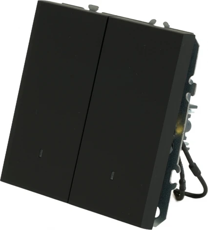 Выключатель двухклавишный с подсветкой (черный) Stekker Эмили 49838