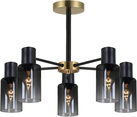 Потолочная люстра на штанге Reluce 74677-0.3-05 (220V)