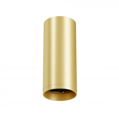 Потолочный светильник Maytoni Technical Focus C010CL-01MG-N