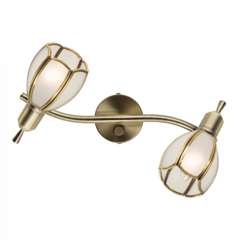 Спот Citilux Альтен-2 CL522621