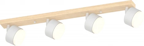 Настенно-потолочный спот Rivoli Vivian 7078-704 4хGX53 15 Вт поворотный