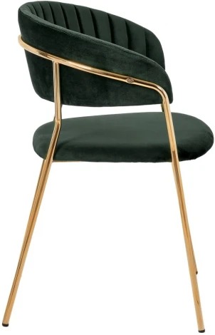 Комплект из 4-х стульев Turin зеленый с золотыми ножками Bradexhome арт.FR 0558K