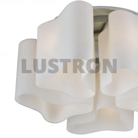 Потолочная люстра ST Luce Onde 2 SL118.502.05