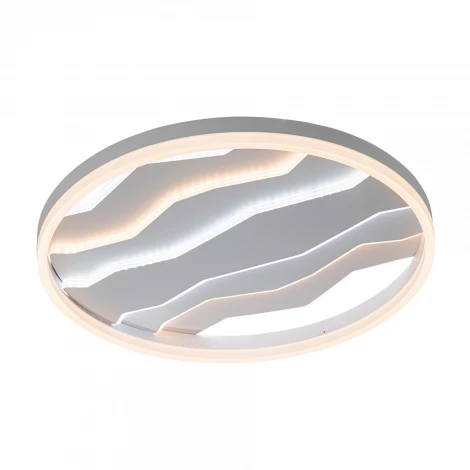 Потолочный светильник светодиодный с пультом с регулировкой цветовой температуры и яркости LED4U LED4U L1055-500 WH