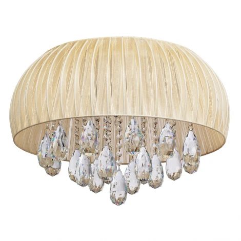 Потолочная люстра MW-Light Жаклин 465015009