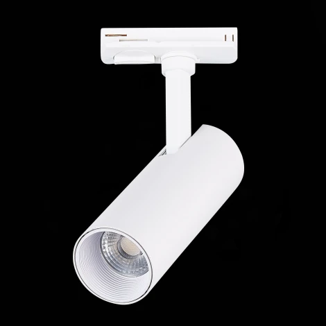 Трековый светильник ST Luce Mono ST350.546.10.36 (LED, 220V, круглые, IP22)