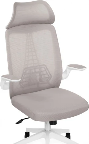 Компьютерное кресло Woodville Lokus light gray