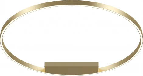 Потолочный светильник круглый Maytoni Rim MOD058CL-L65BS3K