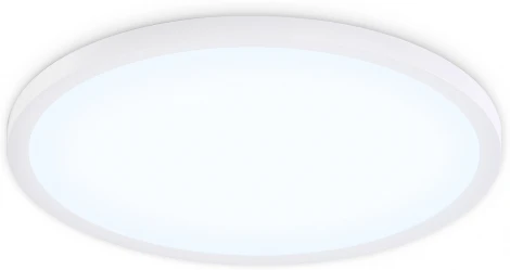 Потолочный светильник круглый светодиодный Ambrella ORBITAL FZ1959 (220V, круглые, IP54)