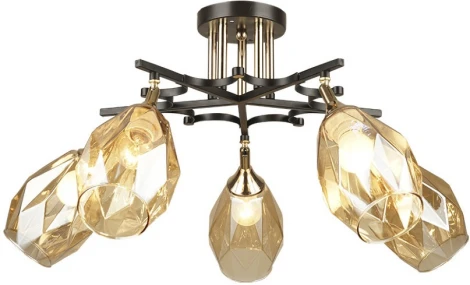 Потолочная люстра Wedo Light Deylna 66749.01.69.05