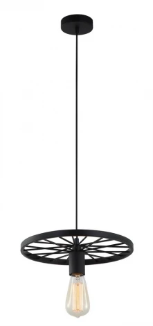 Подвесной светильник Toplight Vanessa TL1201H-01BK (220V, на проводе, круглые, кольцо)