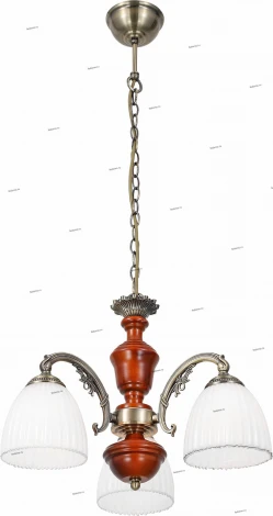 Подвесная люстра ST Luce Fiore 2 SL151.303.03