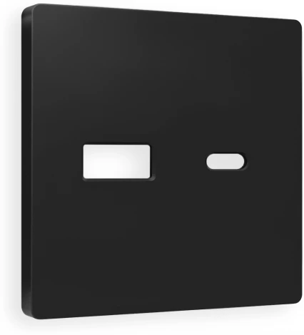 Лицевая панель Ambrella Volt ALFA (Черный матовый) для розетки 2USB тип A+C QUANT AP8110