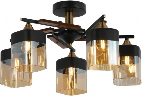 Потолочная люстра на штанге Freya Glitz FR5154PL-05B