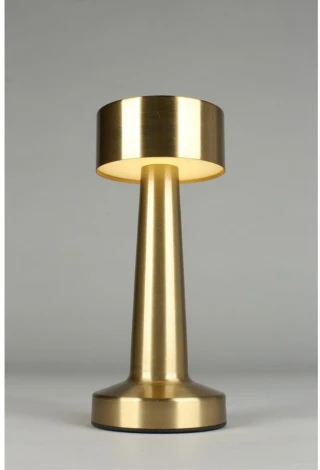 Настольная лампа светодиодная с выключателем Aployt Perrayn APL.671.04.01 (220V, круглые)