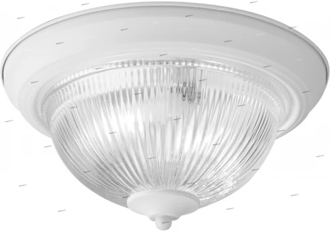 Потолочный светильник Arte Lamp Aqua-plate A9370PL-2WH