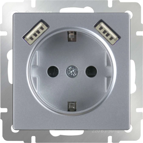 Розетка встраиваемая с заземлением, шторками и двумя USB Werkel, серебро