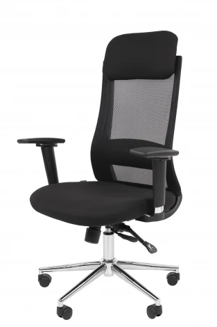 Офисное кресло Chairman 500LUX Россия ткань T черный/TW-01 черный 7210649