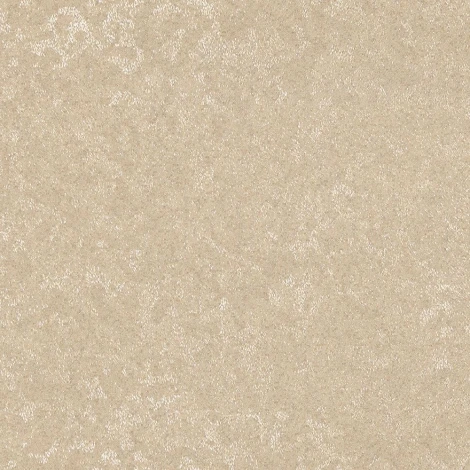 Обои виниловые Zambaiti Trussardi 2 5516 10,05 x 0,7 м