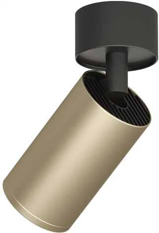 Спот DK2029-BG Denkirs (220V, круглые)