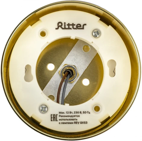 Трековый светильник однофазный 220V Ritter Artline 59860 6