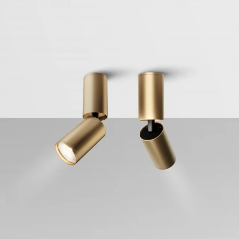 Накладной потолочный светильник FOCUS S GU10 1x10Вт Maytoni Technical C051CL-01G (220V, круглые)