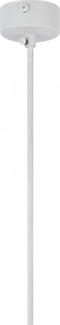 Подвесной светильник ЭРА PL 16 WH (220V, на проводе)