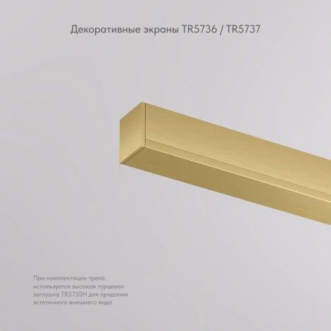 Декоративная заглушка желоба трека Denkirs Shine Base TR5736-SB 20см, сатинированная латунь (48V)