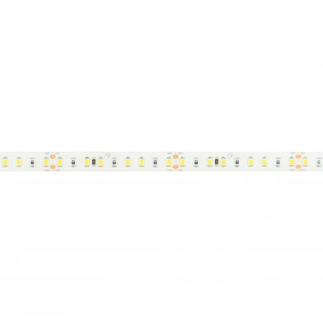 Светодиодная лента FITOLUX-SE-A144-10mm 24V Day4000-Red (14 W/m, IP65, 2835, 5m) (Arlight, 14 Вт/м, IP65) 038170