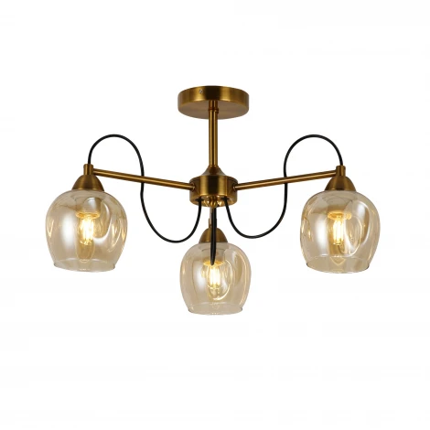 Потолочная люстра Evoluce Acro SLE110002-03