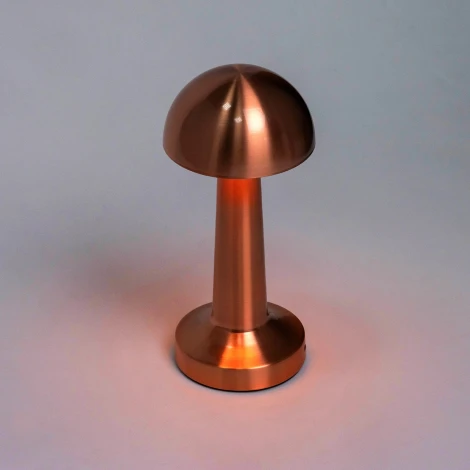 Настольная лампа Escada Evo 10257/L LED 3Вт, 13000/4000/6000K, металл/акрил, золото/белый