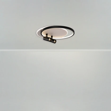 Потолочный светильник со спотами Freya Spotlights FR6083CL-L106WB