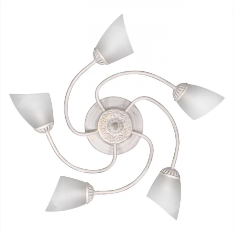 Люстра потолочная Day&Night, 5 плафонов, белый с золотом