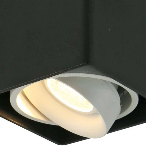 Накладной точечный светильник Arte Lamp Pictor A5655PL-1BK (220V)