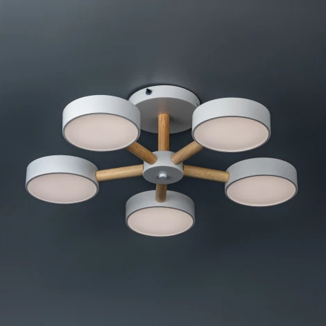 Потолочная люстра светодиодная на штанге с ДУ Ritter Scandia 51591 7