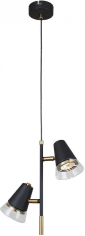 Подвесной светильник F-Promo Trandy 4618-2P (220V, на проводе)