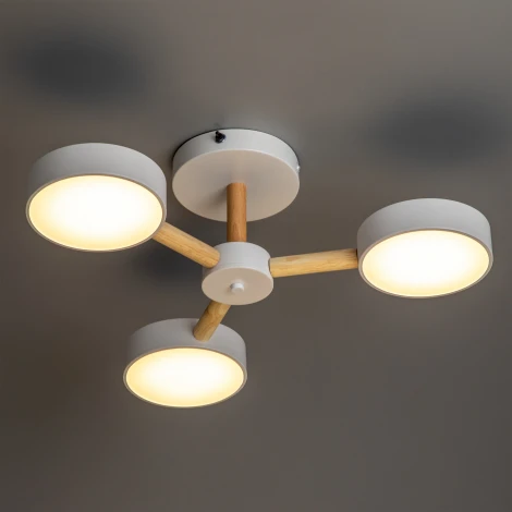 Потолочная люстра светодиодная на штанге с ДУ Ritter Scandia 51589 4